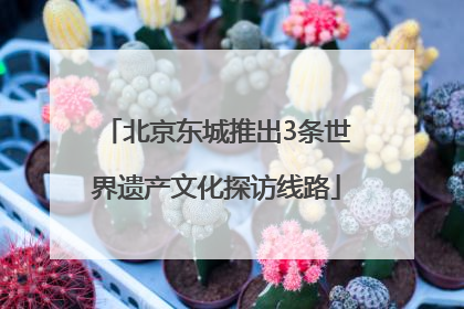 北京东城推出3条世界遗产文化探访线路