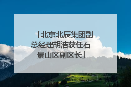 北京北辰集团副总经理胡浩获任石景山区副区长