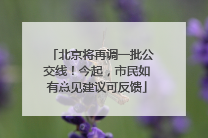 北京将再调一批公交线！今起，市民如有意见建议可反馈