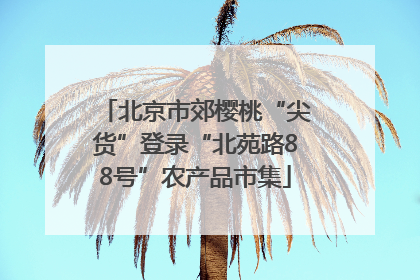北京市郊樱桃“尖货”登录“北苑路88号”农产品市集