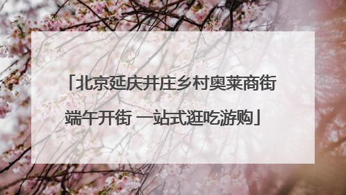 北京延庆井庄乡村奥莱商街端午开街 一站式逛吃游购
