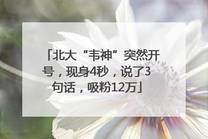 北大“韦神”突然开号，现身4秒，说了3句话，吸粉12万