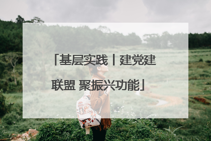 基层实践丨建党建联盟 聚振兴功能