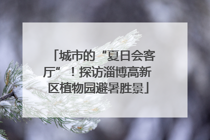 城市的“夏日会客厅”！探访淄博高新区植物园避暑胜景