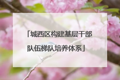 城西区构建基层干部队伍梯队培养体系