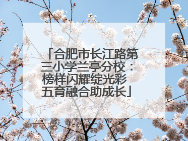 合肥市长江路第三小学兰亭分校：榜样闪耀绽光彩 五育融合助成长