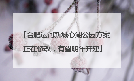 合肥运河新城心湖公园方案正在修改，有望明年开建