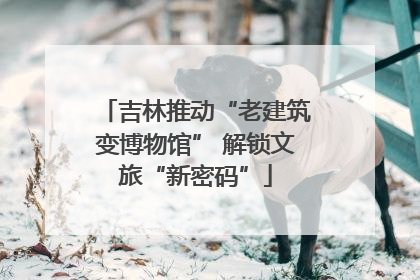 吉林推动“老建筑变博物馆” 解锁文旅“新密码”