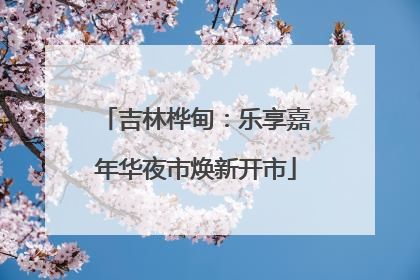 吉林桦甸：乐享嘉年华夜市焕新开市