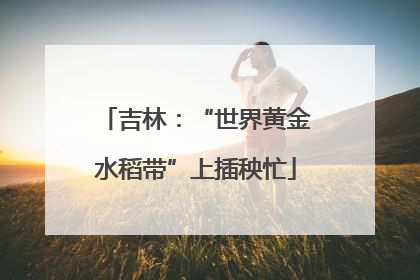 吉林：“世界黄金水稻带”上插秧忙