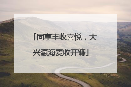 同享丰收喜悦，大兴瀛海麦收开镰