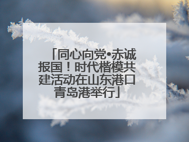 同心向党•赤诚报国！时代楷模共建活动在山东港口青岛港举行