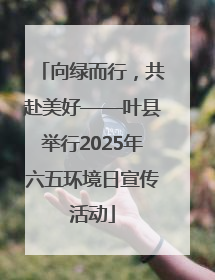 向绿而行，共赴美好——叶县举行2025年六五环境日宣传活动