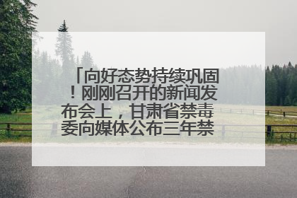 向好态势持续巩固！刚刚召开的新闻发布会上，甘肃省禁毒委向媒体公布三年禁毒工作“成绩单”