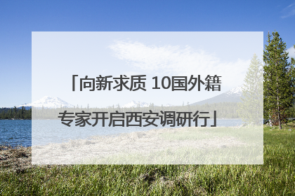 向新求质 10国外籍专家开启西安调研行