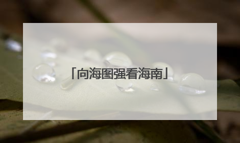 向海图强看海南