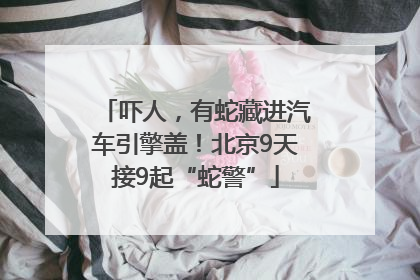 吓人，有蛇藏进汽车引擎盖！北京9天接9起“蛇警”