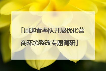 周迎春率队开展优化营商环境整改专题调研