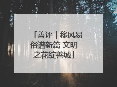 善评｜移风易俗谱新篇 文明之花绽善城