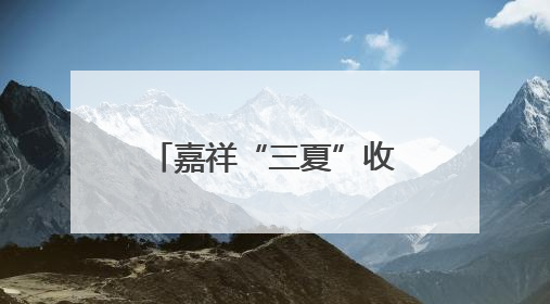 嘉祥“三夏”收割忙 机械化奏响丰收进行曲