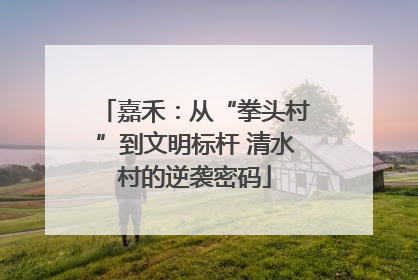嘉禾：从“拳头村”到文明标杆 清水村的逆袭密码