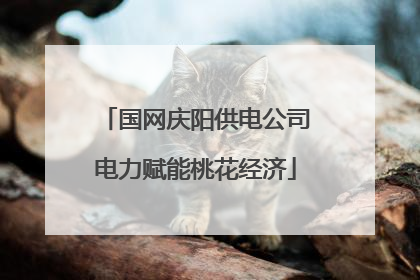 国网庆阳供电公司电力赋能桃花经济