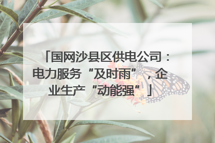 国网沙县区供电公司：电力服务“及时雨”，企业生产“动能强”