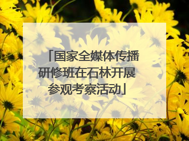 国家全媒体传播研修班在石林开展参观考察活动