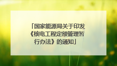 国家能源局关于印发《核电工程定额管理暂行办法》的通知