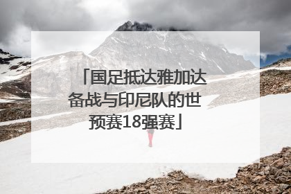 国足抵达雅加达备战与印尼队的世预赛18强赛