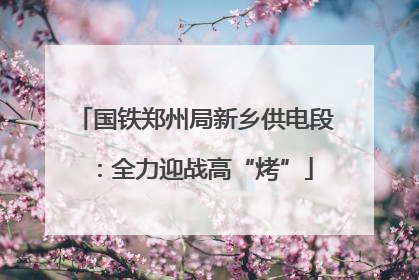 国铁郑州局新乡供电段：全力迎战高“烤”