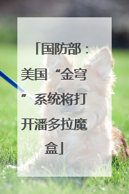 国防部：美国“金穹”系统将打开潘多拉魔盒