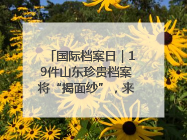 国际档案日｜19件山东珍贵档案将“揭面纱”，来先睹为快！