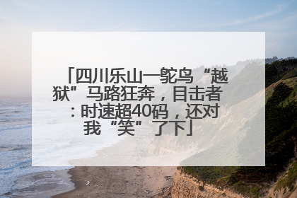 四川乐山一鸵鸟“越狱”马路狂奔，目击者：时速超40码，还对我“笑”了下
