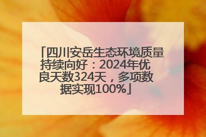 四川安岳生态环境质量持续向好：2024年优良天数324天，多项数据实现100%