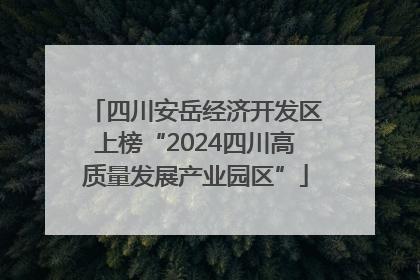 四川安岳经济开发区上榜“2024四川高质量发展产业园区”