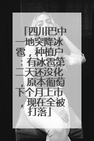 四川巴中一地突降冰雹，种植户：有冰雹第二天还没化，原本葡萄下个月上市，现在全被打落