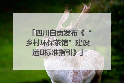 四川自贡发布《“乡村环保茶馆”建设运⾏标准指引》