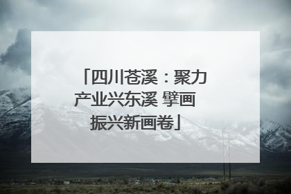四川苍溪：聚力产业兴东溪 擘画振兴新画卷