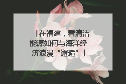 在福建，看清洁能源如何与海洋经济浪漫“邂逅”