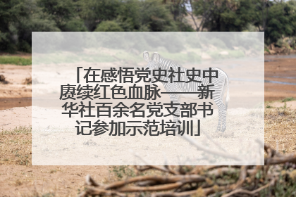 在感悟党史社史中赓续红色血脉——新华社百余名党支部书记参加示范培训
