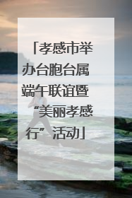 孝感市举办台胞台属端午联谊暨“美丽孝感行”活动