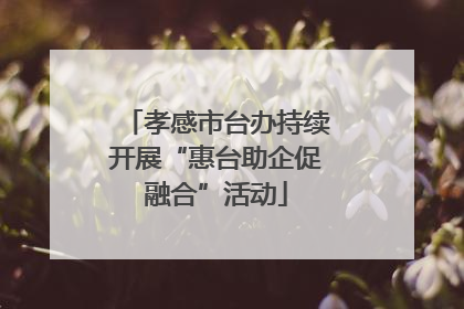 孝感市台办持续开展“惠台助企促融合”活动