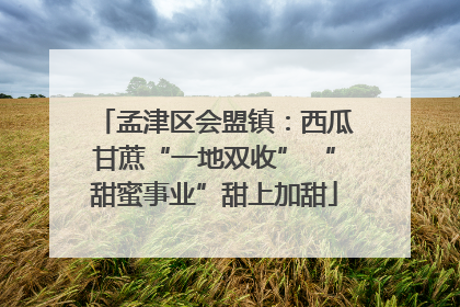 孟津区会盟镇：西瓜甘蔗“一地双收” “甜蜜事业”甜上加甜