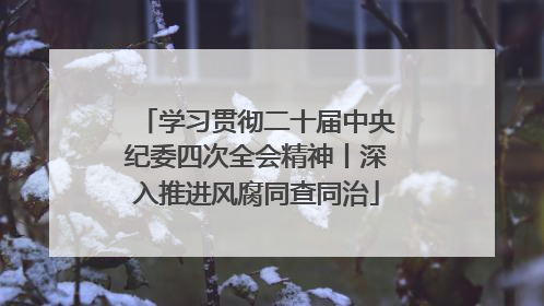 学习贯彻二十届中央纪委四次全会精神丨深入推进风腐同查同治