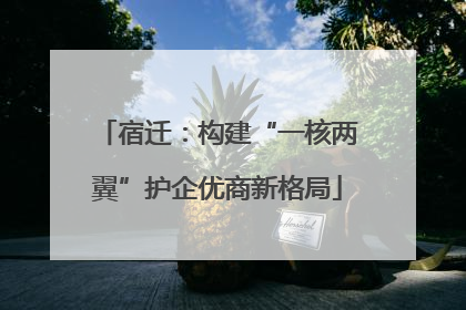 宿迁：构建“一核两翼”护企优商新格局