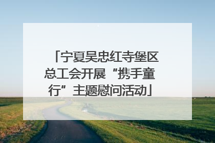 宁夏吴忠红寺堡区总工会开展“携手童行”主题慰问活动
