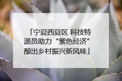 宁夏西夏区 科技特派员助力“紫色经济”酿出乡村振兴新风味