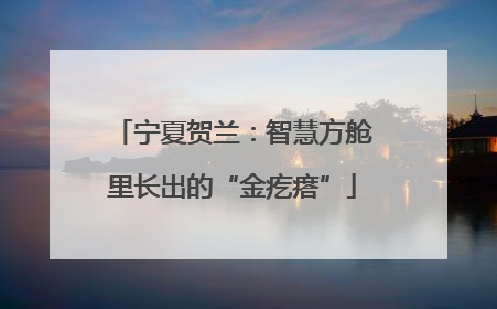 宁夏贺兰：智慧方舱里长出的“金疙瘩”