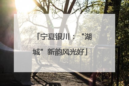 宁夏银川：“湖城”新韵风光好